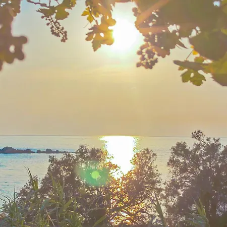 Ni&gio Sterna 1 Apartment *