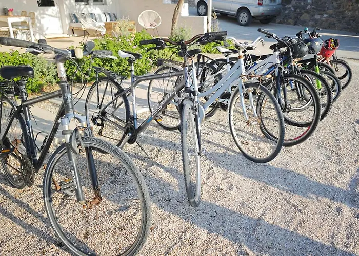 Ni&gio Sterna 1 Paro